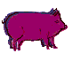 Pink pig