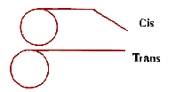 Diagram Cis and Trans