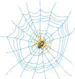 Spider in a web