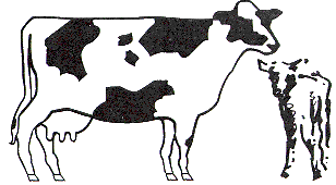 cow