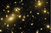 Galaxy Cluster