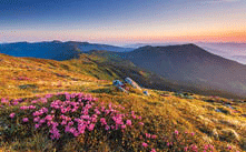 Mountain meadow in the Ukraine