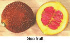 Gac fruit