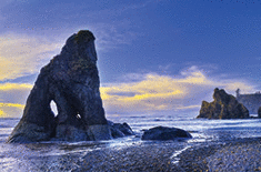 Rugged rocky coast of Ruby Beach in Washington State