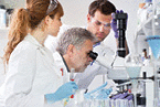 Young research scientists and senior professor preparing and analyzing microscope slides in research lab.