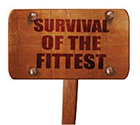 Survival of the fittest