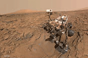 Curiosity selfie