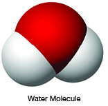 Water molecule