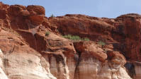 canyon walls