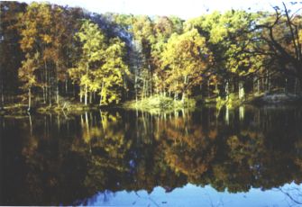 Autumn fall colors reflected in a lake